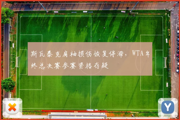 斯瓦泰克肩袖损伤恢复停滞,WTA年终总决赛参赛资格存疑