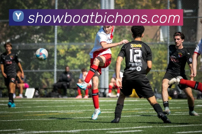 多彩内容专区